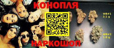 гидра Изобильный
