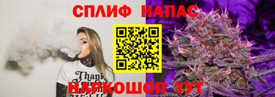 гидра Изобильный