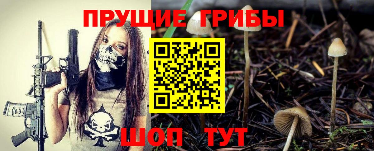 Галлюциногенные грибы мицелий Майкоп