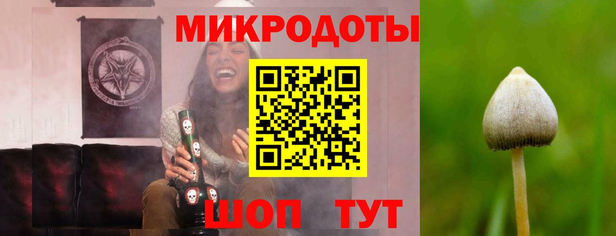 Майкоп  Псилоцибиновые грибы GOLDEN TEACHER  Вход с VPN 